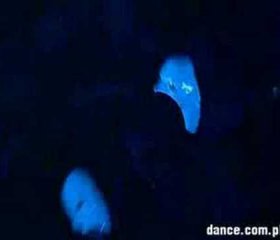 Taniec z Gwiazdami Show must go on